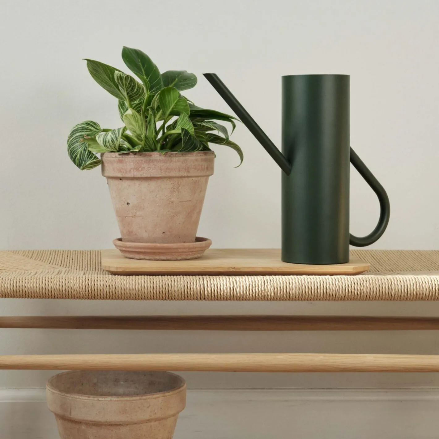 Stelton Bloom blomstervandkande,> Botanik