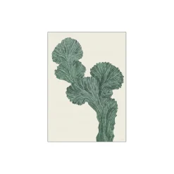 Poster & Frame Cactus Myrtillo> Plakater & Rammer