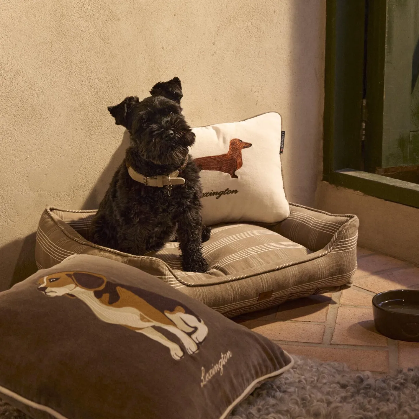 Sale Lexington Dog Pillow Cover, stone multi