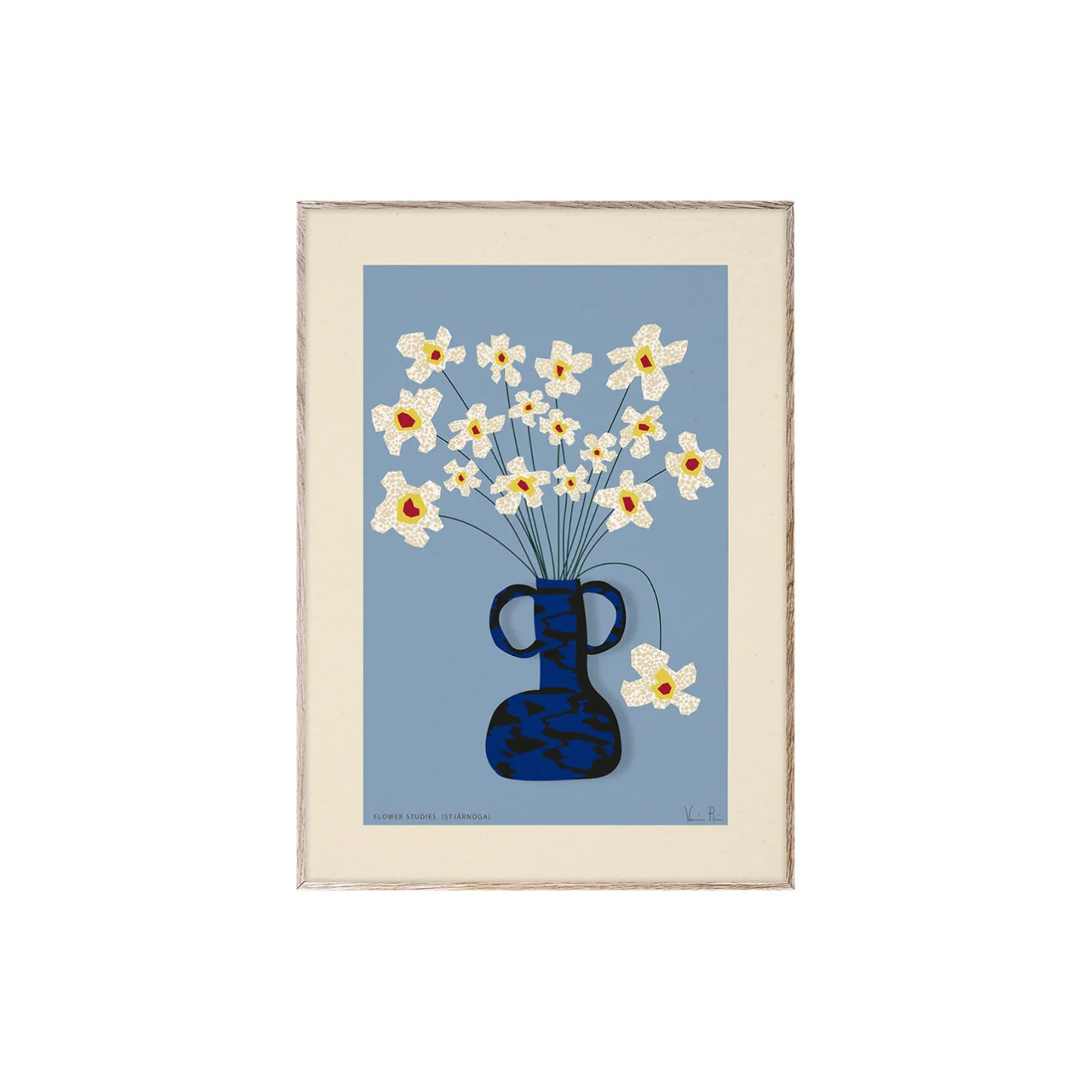 New Paper Collective Flower Studies 04 (Stjärnöga) poster