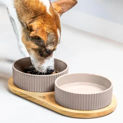 DOG Copenhagen Kronborg Food Bar,><noscript><img width=