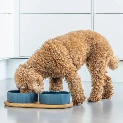 DOG Copenhagen Kronborg Food Bar,><noscript><img width=