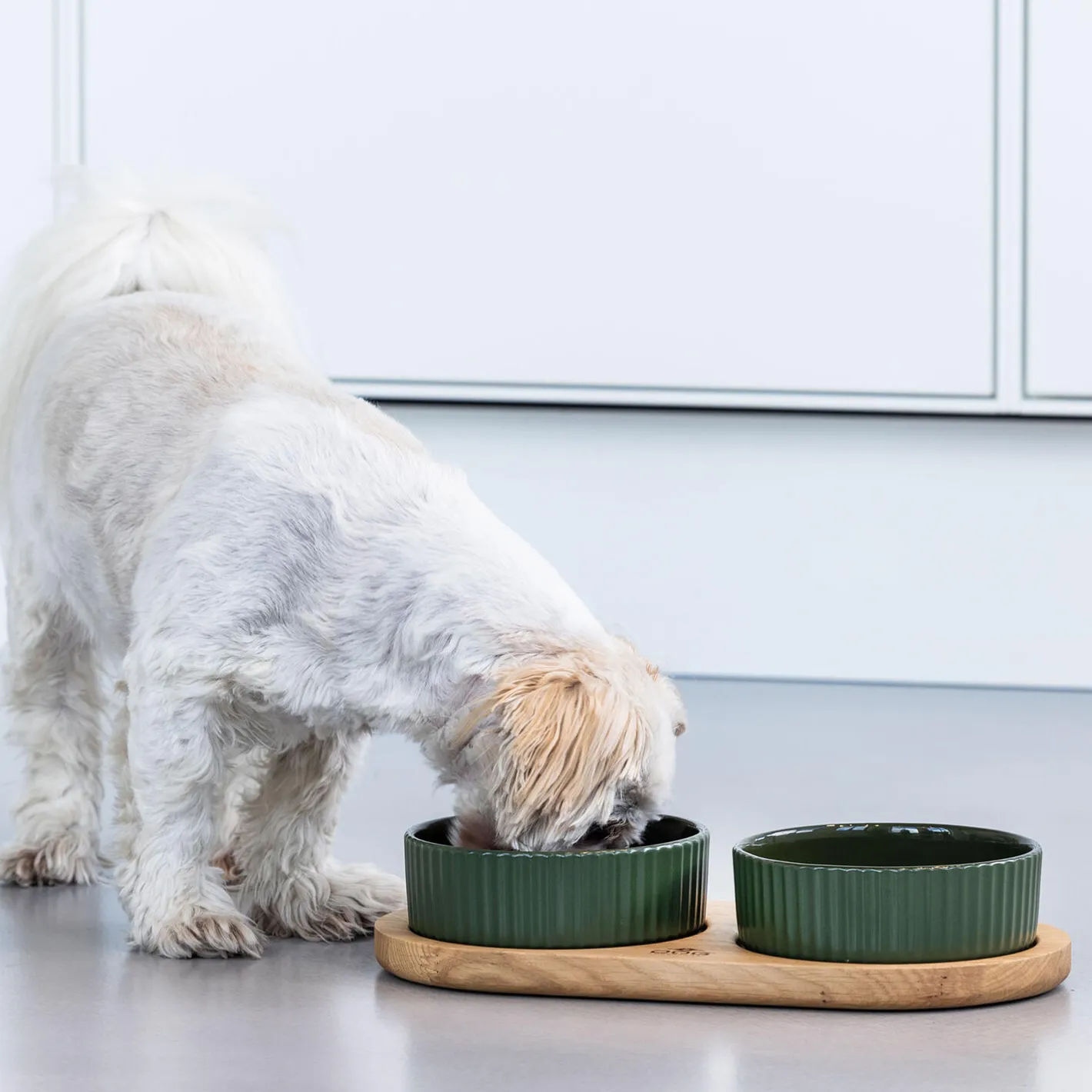 DOG Copenhagen Kronborg Food Bar, racing green