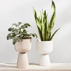 Clearance Iittala Nappula urtepotte small, hvid white
