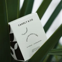 Outlet Candly & Co No. 3 Candle, It will happen when the time is right