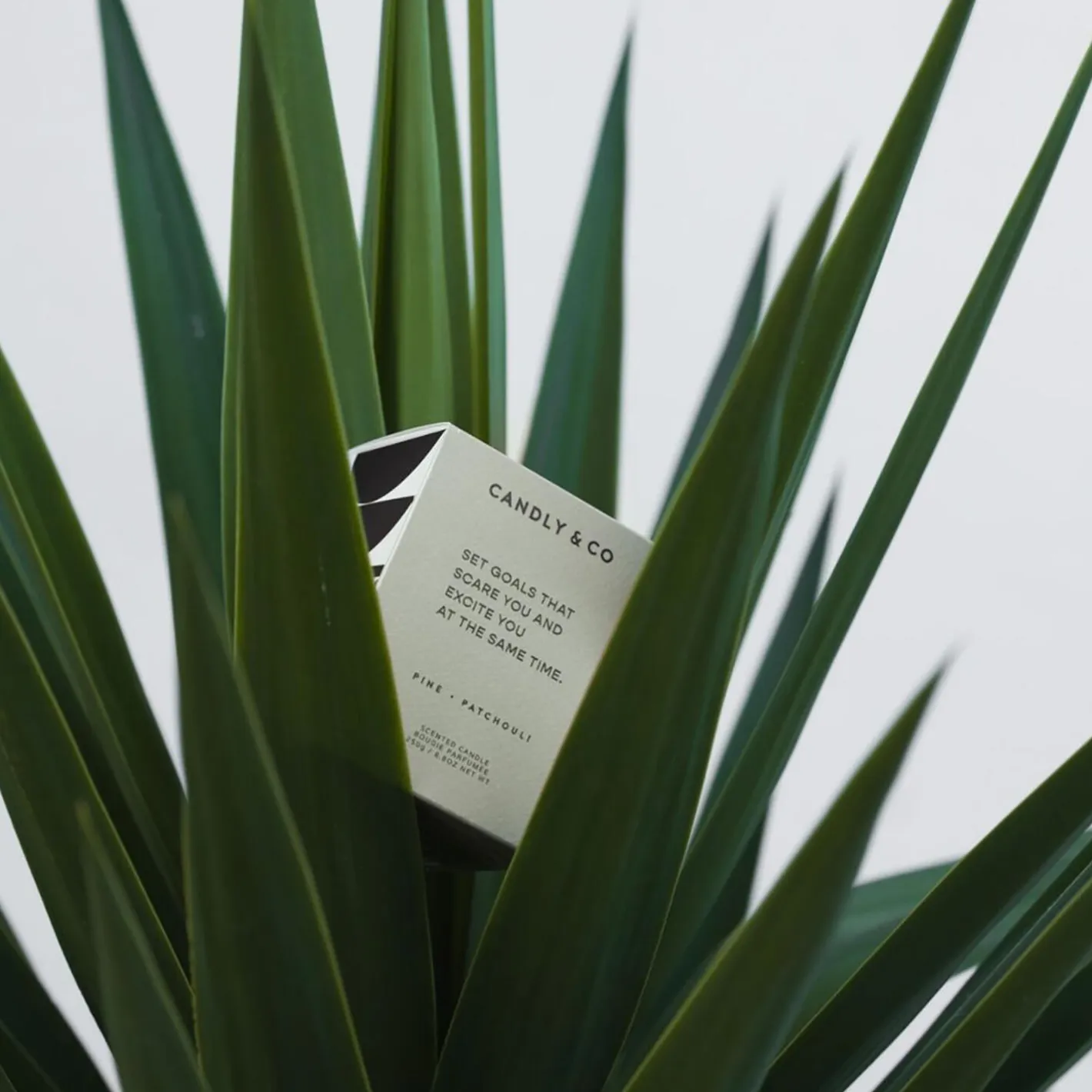 Candly & Co No. 4 Candle, Set goals that scare you and excite you at the same time> Lys & Duftlys