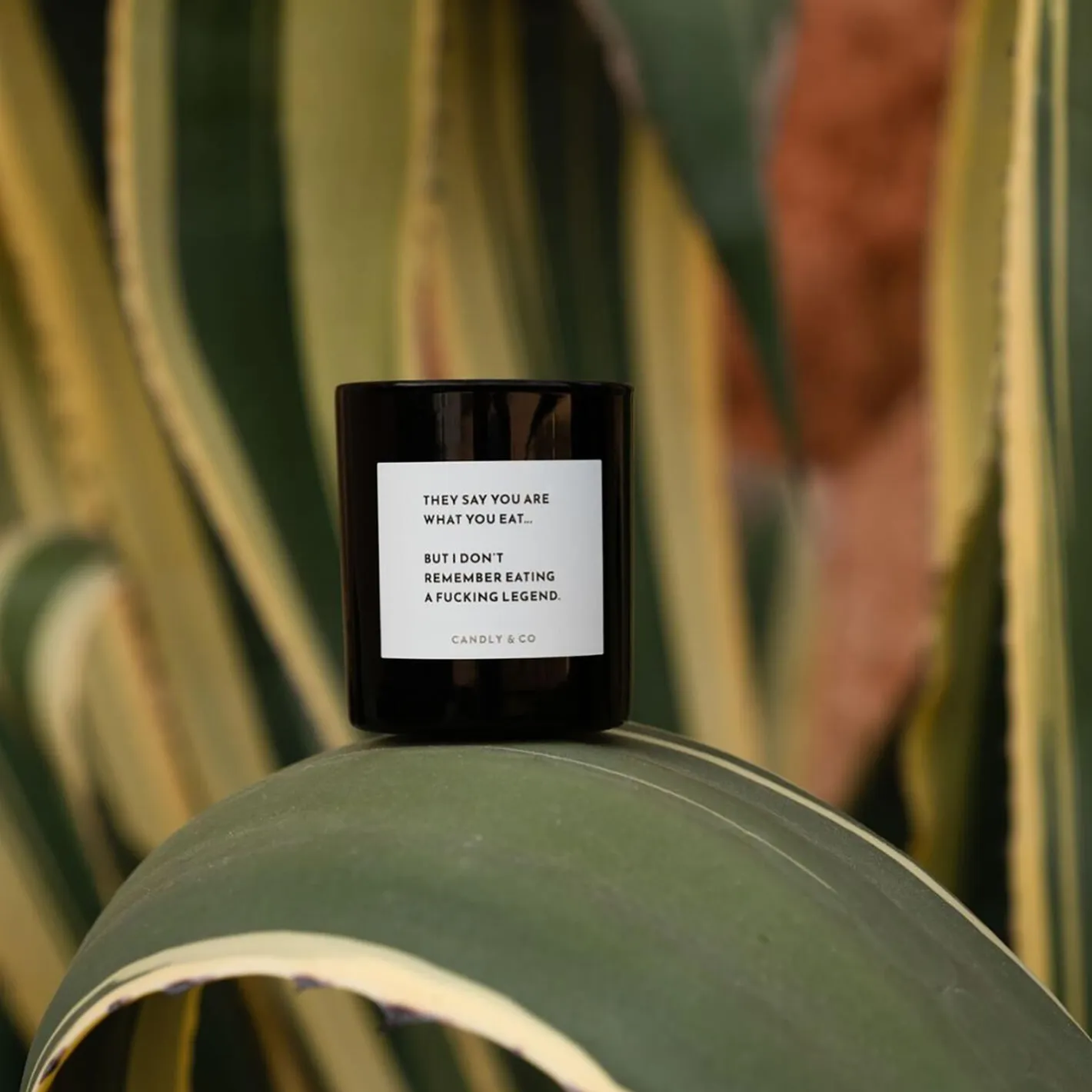 Candly & Co No. 1 Candle, They say you are what you eat> Lys & Duftlys
