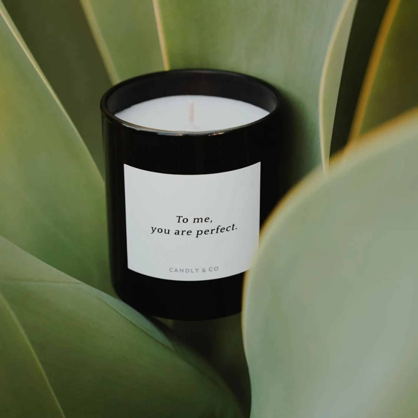 New Candly & Co No. 8 Candle, To me, you are perfect