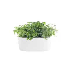 Eva Solo Nordic Kitchen selvvandende urteholder, hvid> Botanik