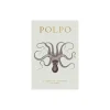 Clearance New Mags Polpo