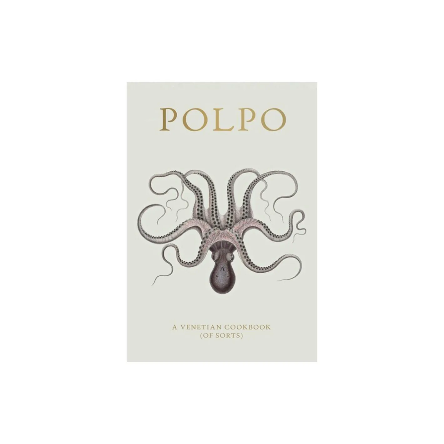 Clearance New Mags Polpo