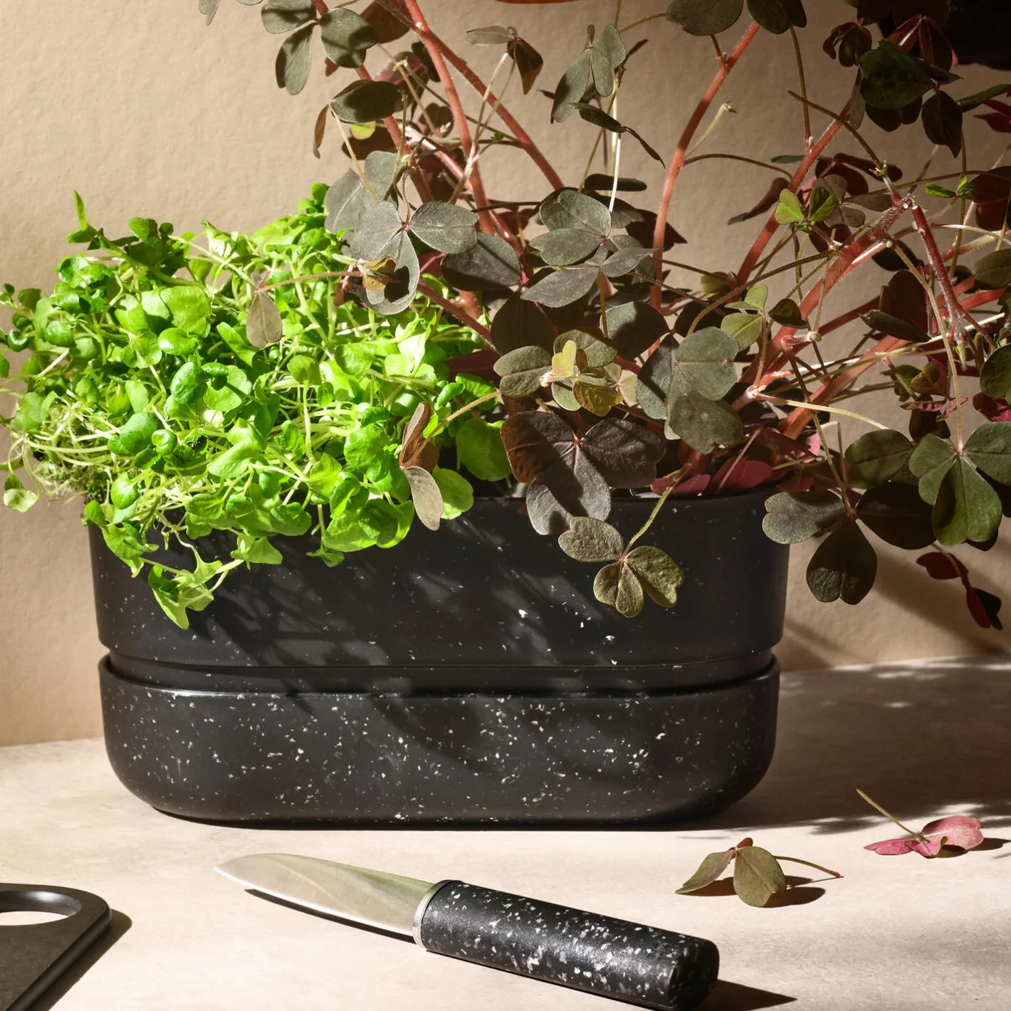 RIG-TIG POT-IT urtekasse, black