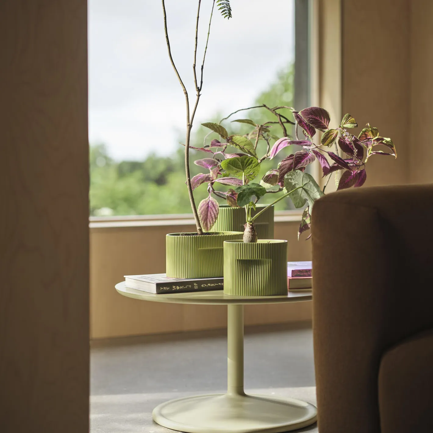 Muuto Ridge Planter> Botanik