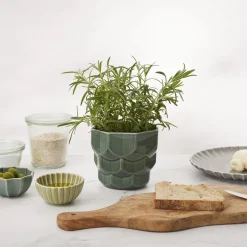 Clearance Dottir Nordic Design Samsurium blomsterkrukke, spruce