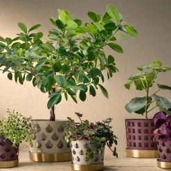 Outlet Klong Trio Drop Flowerpot Small beige